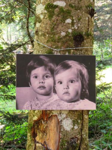 60ans_Corinne_Denis_Chemin_060