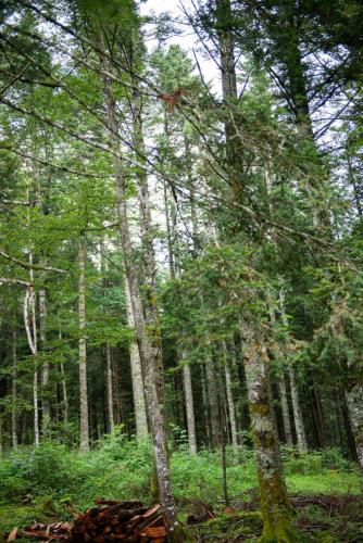 60ans_Corinne_Denis_Dimanche_112