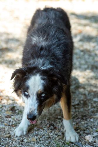 60ans_Corinne_Denis_Samedi_063