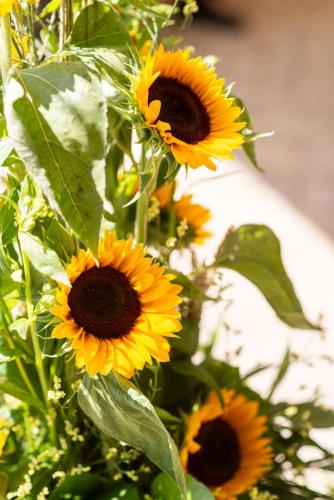 60ans_Corinne_Denis_Samedi_073