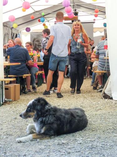 60ans_Corinne_Denis_Samedi_283