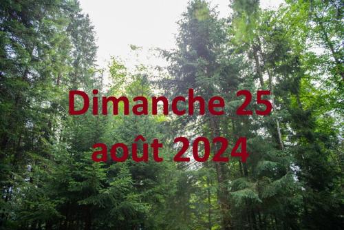Dimanche 25 août 2024